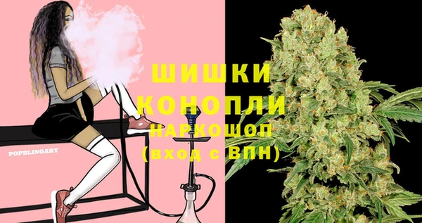 ГАЛЛЮЦИНОГЕННЫЕ ГРИБЫ Алексеевка