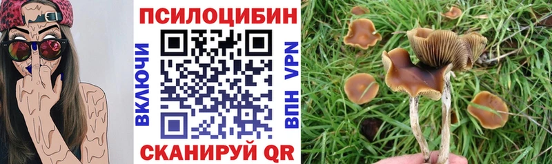 где можно купить Коркино Галлюциногенные грибы прущие грибы
