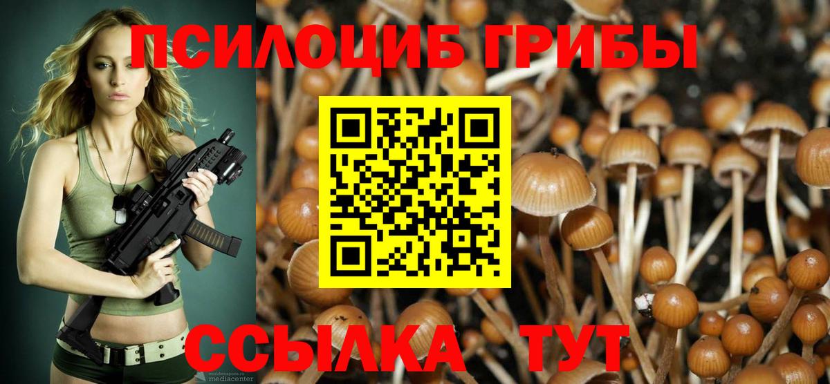 Галлюциногенные грибы Psilocybine cubensis Коркино