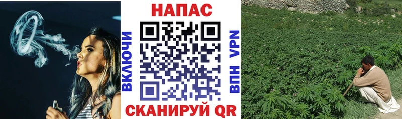 Конопля план Коркино